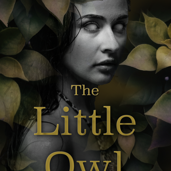 Announcing: The Little Owl