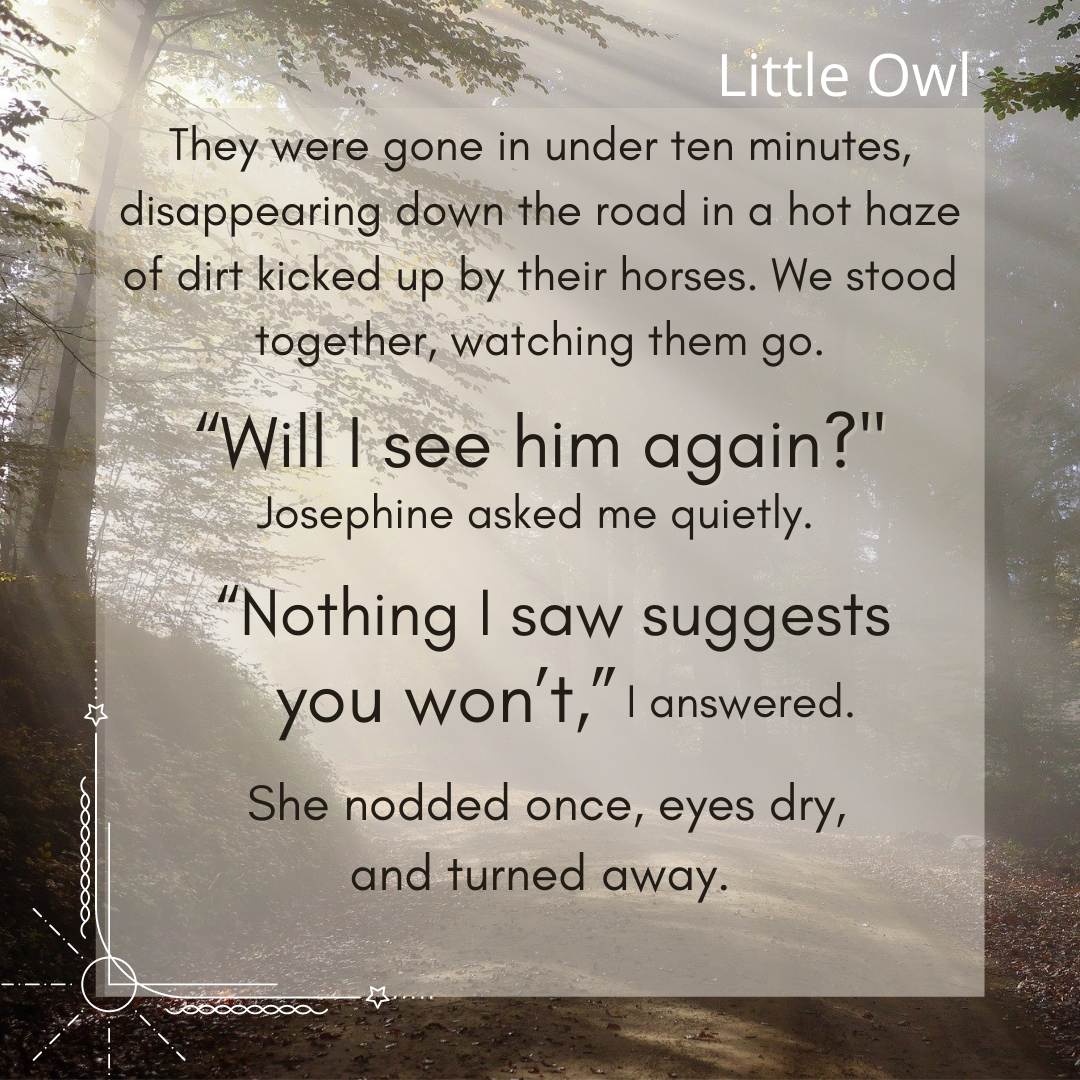 Little Owl Book Quote - Will I see him again?